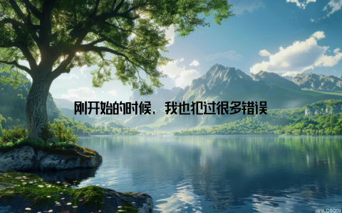 刚开始的时候, 我也犯过很多错误