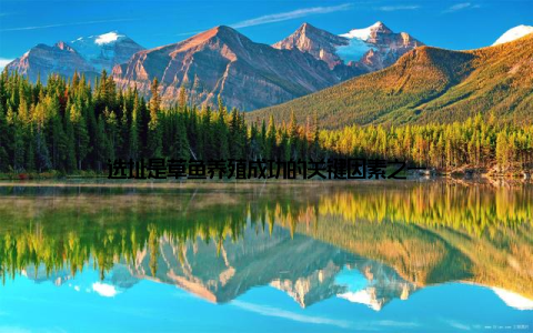 选址是草鱼养殖成功的关键因素之一