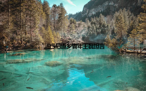 ”95后返乡青年王磊坦言