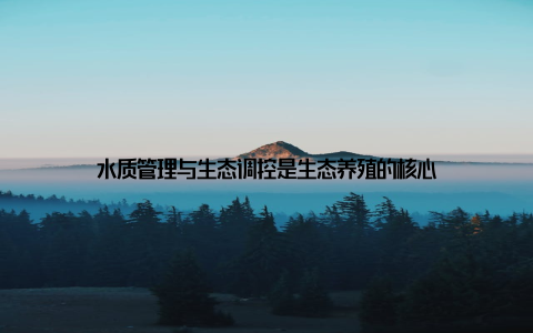 水质管理与生态调控是生态养殖的核心