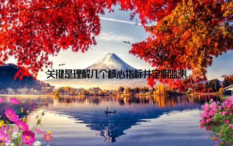 关键是理解几个核心指标并定期监测