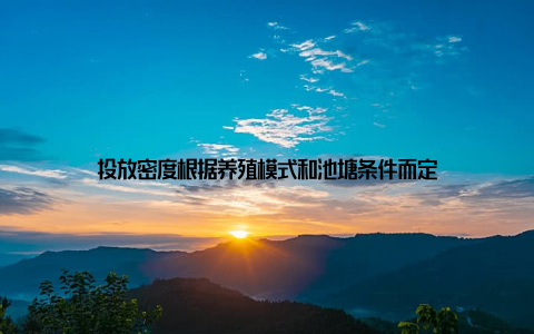 投放密度根据养殖模式和池塘条件而定