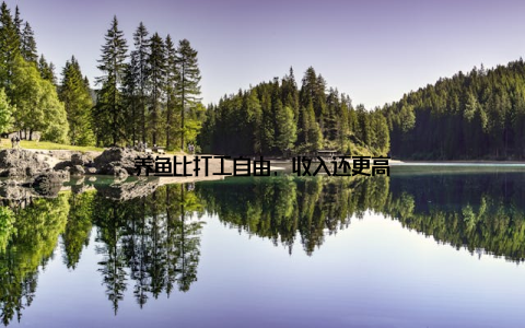 养鱼比打工自由, 收入还更高