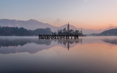 陈阳的成功并非个例