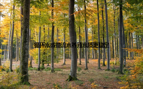 循环水或微流水养殖水质更稳定