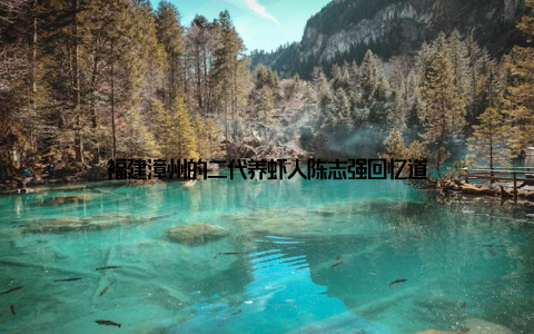 福建漳州的二代养虾人陈志强回忆道