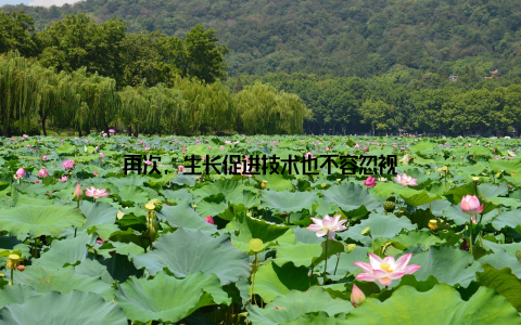 再次, 生长促进技术也不容忽视