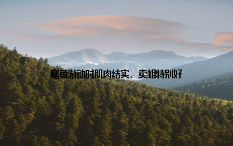 鳝鱼游动时肌肉结实, 卖相特别好