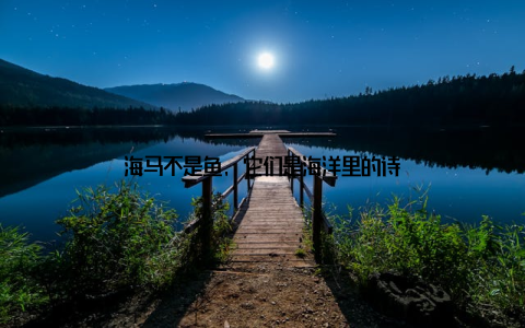 海马不是鱼, 它们是海洋里的诗