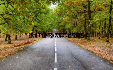 ”环境工程师张雯展示着数据看板