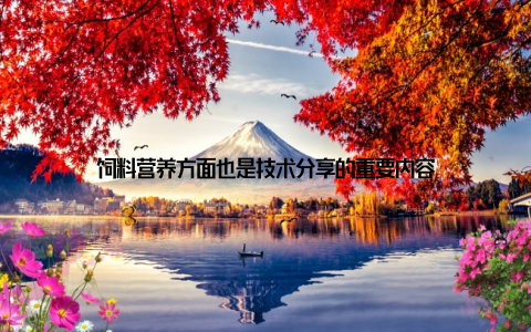 饲料营养方面也是技术分享的重要内容