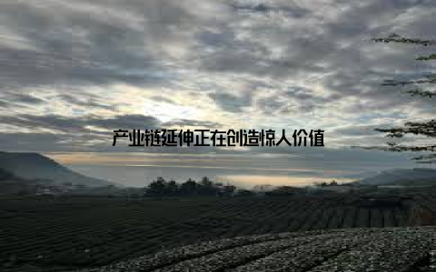 产业链延伸正在创造惊人价值