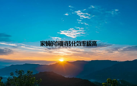 家蝇的饲料转化效率极高