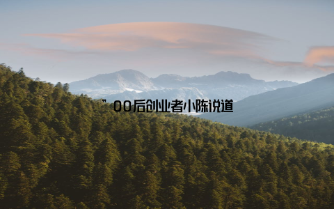 ”00后创业者小陈说道