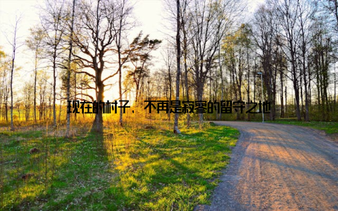 现在的村子, 不再是寂寥的留守之地