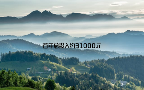 首年总投入约31000元