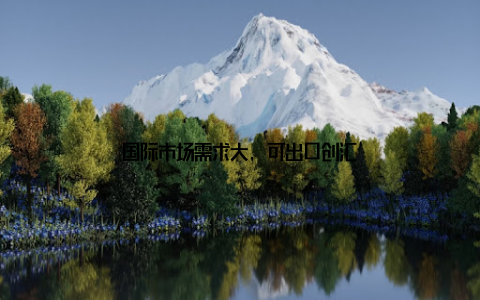 国际市场需求大, 可出口创汇