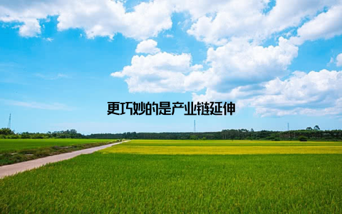 更巧妙的是产业链延伸