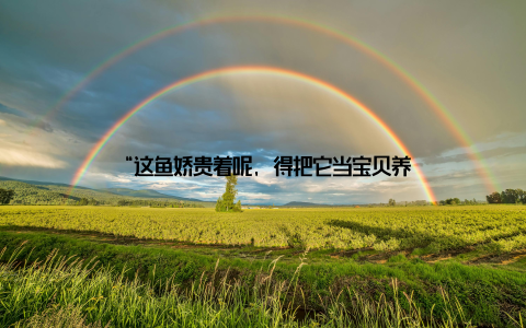 “这鱼娇贵着呢, 得把它当宝贝养