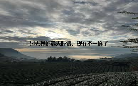 过去养虾靠天吃饭, 现在不一样了