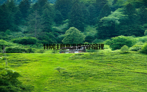 特别注意高温季节的管理