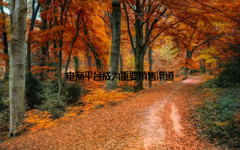 电商平台成为重要销售渠道