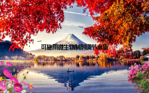 可施用微生物制剂调节水质