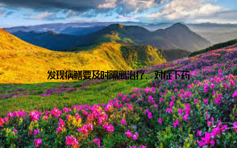 发现病鳝要及时隔离治疗, 对症下药