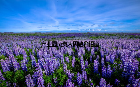 产业园负责人周敏介绍道