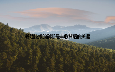 养殖技术的创新是丰收背后的关键