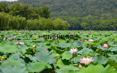 一位行业分析师指出