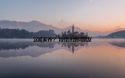 这能家养? 我惊讶地问朋友