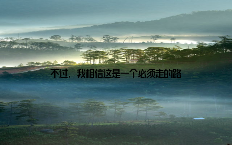 不过, 我相信这是一个必须走的路