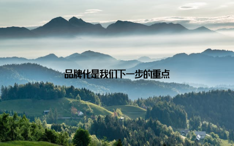 品牌化是我们下一步的重点