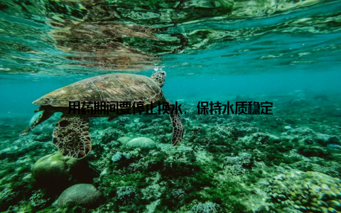 用药期间要停止换水, 保持水质稳定