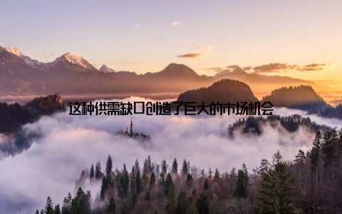 这种供需缺口创造了巨大的市场机会
