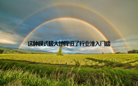 这种模式极大地降低了行业准入门槛