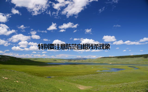 特别要注意防范自相残杀现象