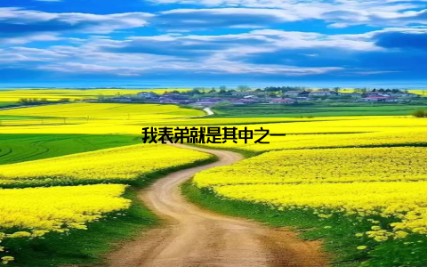 我表弟就是其中之一