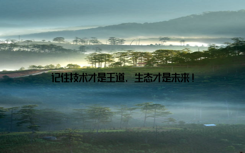 记住技术才是王道, 生态才是未来!