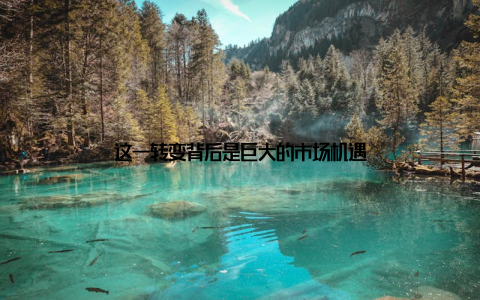 这一转变背后是巨大的市场机遇