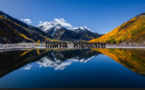 – 抗病性强, 养殖风险较低