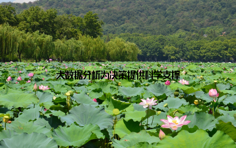 大数据分析为决策提供科学支撑