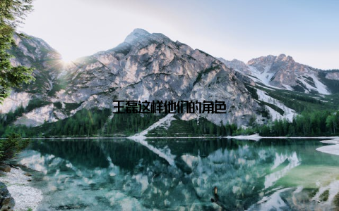 王磊这样他们的角色