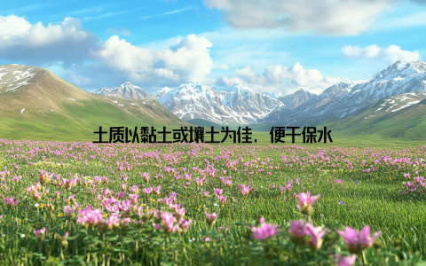 土质以黏土或壤土为佳, 便于保水