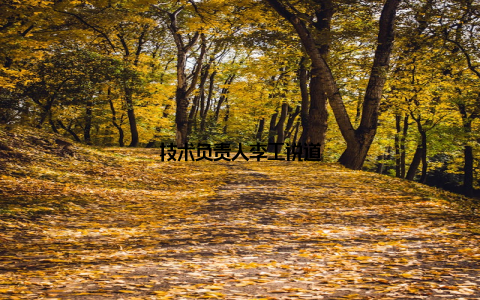 技术负责人李工说道