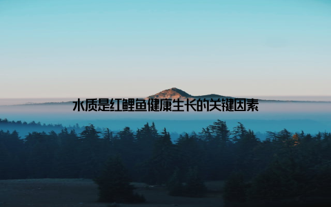 水质是红鲤鱼健康生长的关键因素
