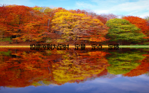 投喂原则为定时、定量、定点、定质