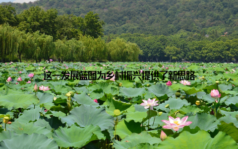 这一发展蓝图为乡村振兴提供了新思路