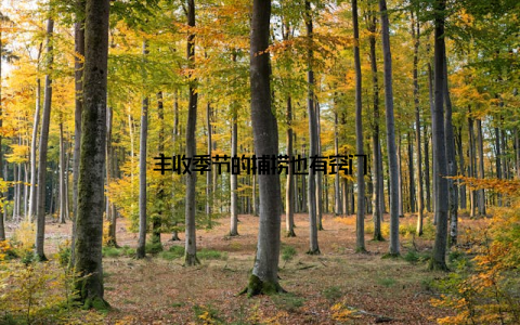 丰收季节的捕捞也有窍门